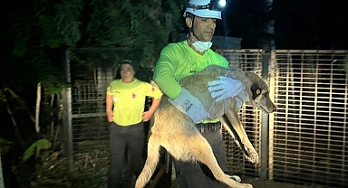 Büyükşehir ekipleri can dostları yangından korudu