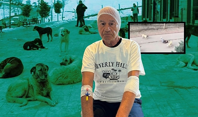 Çeşme'de Başıboş Köpek Dehşeti!