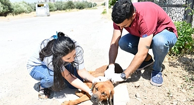 Çiğli’de Can Dostlar için Aşı Mesaisi