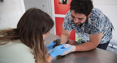 Konak’ta çöpten ‘Umut’ doğdu