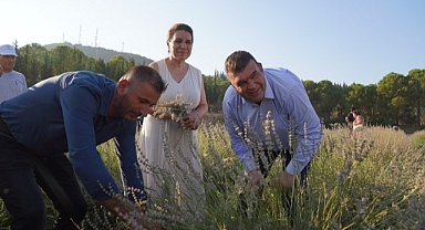 Lavanta Festivali 9. kez ziyaretçileriyle buluştu.