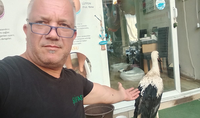 Leylek ‘Lak lak’ yuvasına geri döndü