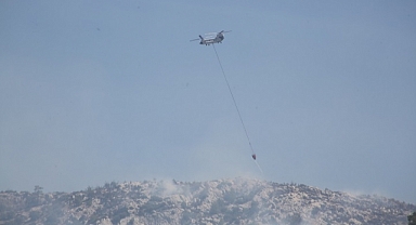 Milas ilçesinde çıkan ikinci orman yangını söndürüldü