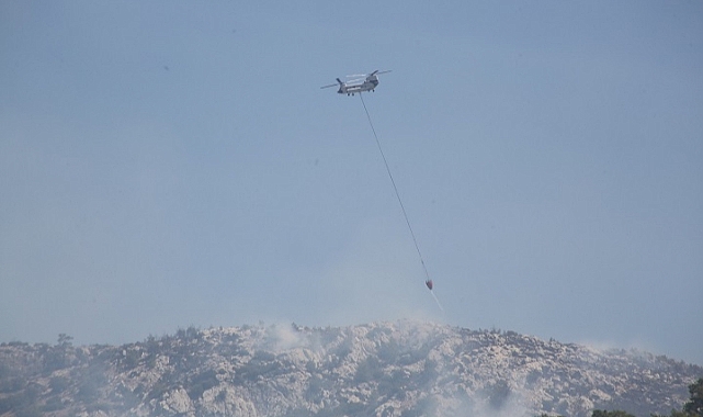 Milas ilçesinde çıkan ikinci orman yangını söndürüldü