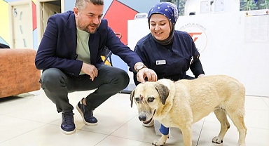 Saldırıya uğrayan can dostuna Duman'dan ziyaret