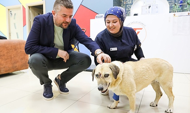 Saldırıya uğrayan can dostuna Duman'dan ziyaret