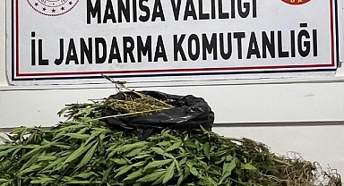 Salihli'de uyuşturucu operasyonu