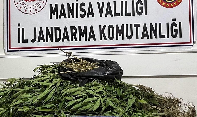Salihli'de uyuşturucu operasyonu