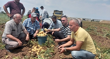 Sandıklı’da patates hasadına başlandı