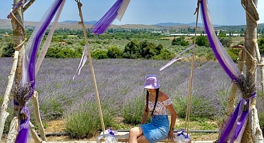 Seferihisar'da lavanta hasadı zamanı