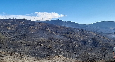 Soma'daki  orman yangını kontrol altında