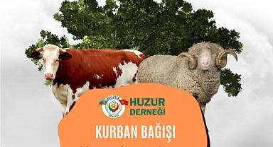 Su Kuyusu Bağışı ile İlgili Sıkça Sorulan Sorular