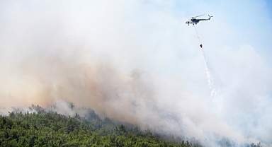 Urla'da yine orman yangını çıktı!