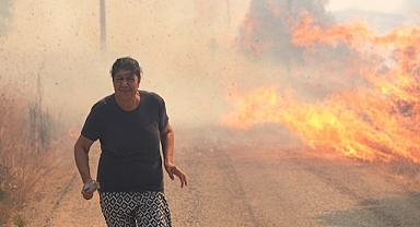 Urla ilçesinde çıkan orman yangını kontrol altında