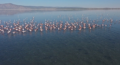 Acıgöl flamingolarla bir başka güzel