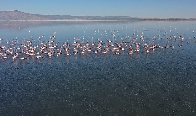 Acıgöl flamingolarla bir başka güzel