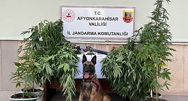 Afyonkarahisar'da uyuşturucu operasyonunda 2 şüpheli yakalandı