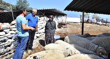 Büyükşehir yangından etkilenen köylerin yaralarını sarıyor