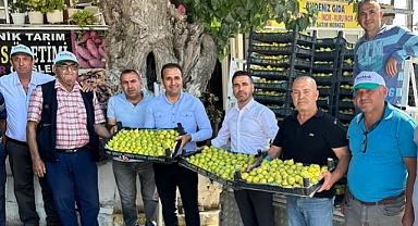 Çapak Bardacık İnciri ABD’ye gidecek