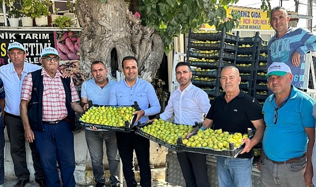 Çapak Bardacık İnciri ABD’ye gidecek