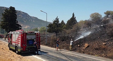 İzmir'de otluk alanda çıkan yangın söndürüldü