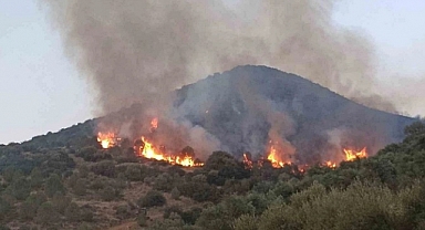 İzmir'de Yangın Mağdurlarına Destek