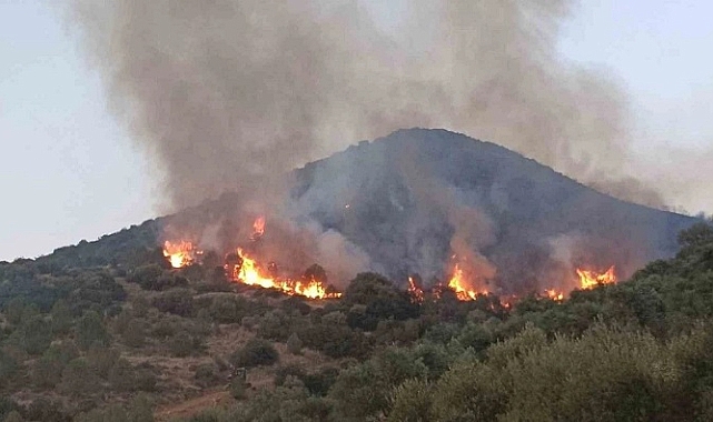 İzmir'de Yangın Mağdurlarına Destek