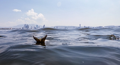 İzmir Körfezi'nde balık tutulmaması için uyarıcı afişler asıldı