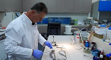İzmir Körfezi'ndeki kirlilik en çok dip balıklarını öldürüyor