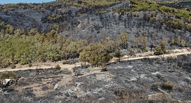 Karşıyaka'da yanan alanları yeşillendirmek için etüt çalışması başlatıldı