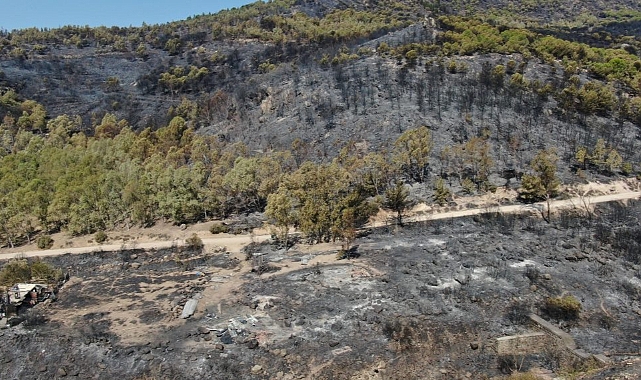 Karşıyaka'da yanan alanları yeşillendirmek için etüt çalışması başlatıldı