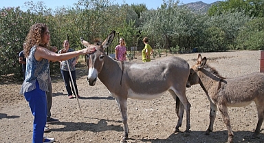 Karşıyaka, Türkiye’ye örnek bir hayvan kompleksine kavuşacak!