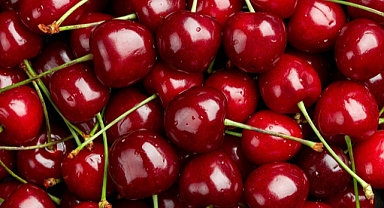 Kiraz ihracatı 209 milyon dolara ulaştı