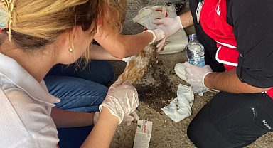 Kızılay Konak Şubesi’nden Yangın Seferberliği!