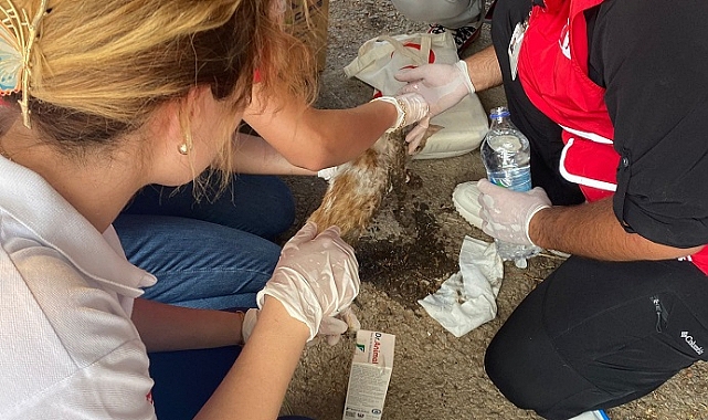 Kızılay Konak Şubesi’nden Yangın Seferberliği!