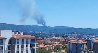 Muğla'da 2 ilçede orman yangını