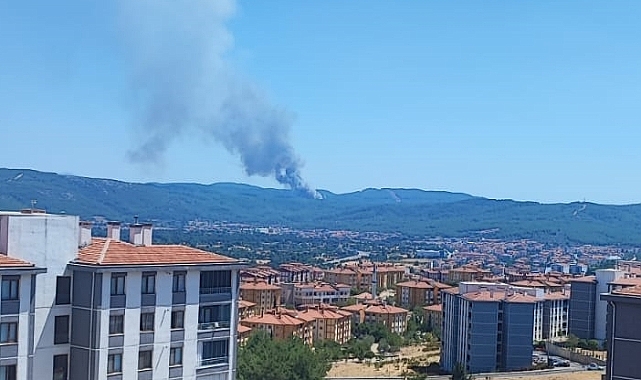 Muğla'da 2 ilçede orman yangını