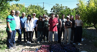 O çiftçinin erikleri, ihtiyaç sahiplerine ulaştı