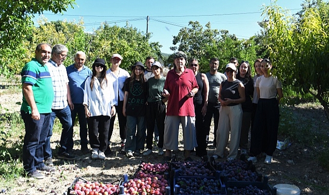 O çiftçinin erikleri, ihtiyaç sahiplerine ulaştı