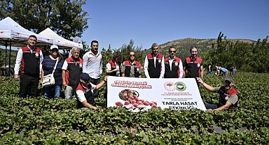 Ödemiş'te Organik Çilek Projesi İlk Meyvelerini Verdi