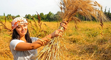 Seferihisar’ın Karakılçık Buğdayı Tescillendi