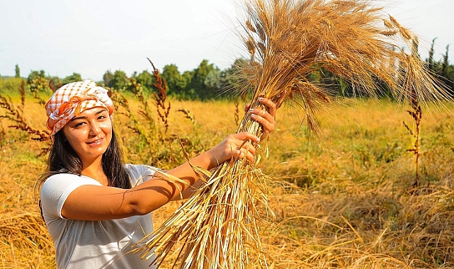 Seferihisar’ın Karakılçık Buğdayı Tescillendi