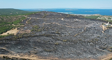 Urla küllerinden doğacak