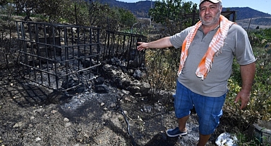 Yangından kurtarılan bahçelerde umut yeşerdi