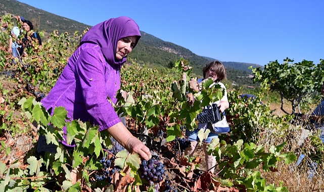 Bornova’da Avrupa Hareketlilik Haftası heyecanı
