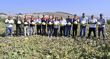 Foça'da 5. Geleneksel Kavun Hasat Şenliği Coşkuyla Kutlandı