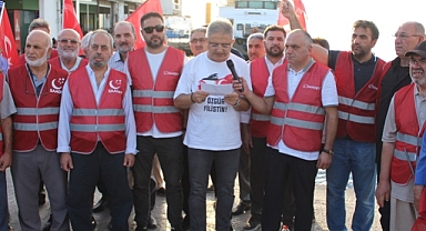 İzmir Körfezi'nde Balık Ölümleri Alarm Veriyor!