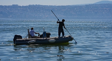 İzmir Körfezi'nde balık ölümleri sürüyor