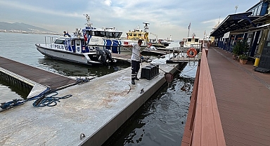 İzmir Körfezi'nde balık ölümleri sürüyor