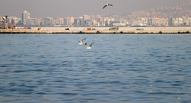 İzmir Körfezi'nde düşen oksijen miktarına pompalı tedbir